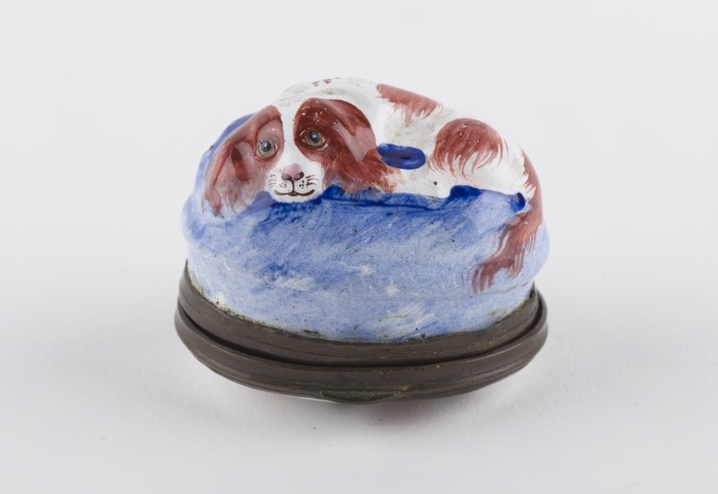 Patch box moulded to the shape of a dog, like aspaniel, brown and white, lying on a blue background